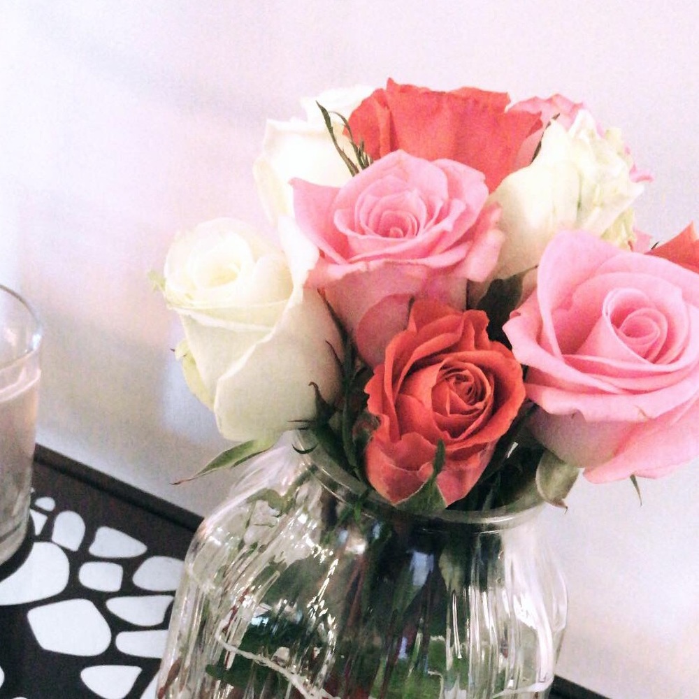 Meet your Posher, Paige